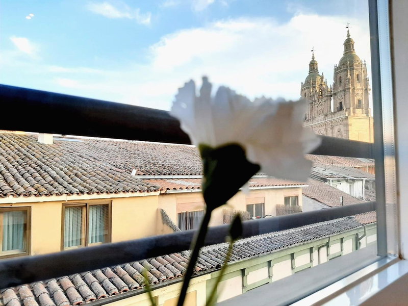 Apartamentos Celestina by gaiarooms, Salamanca, Spain