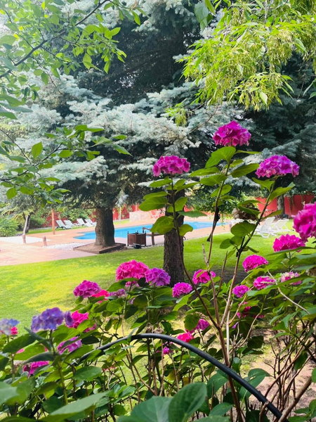 B&B Concha, Becerril de la Sierra, Spain