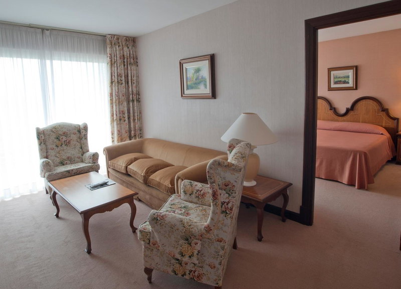 Hotel Riu Fluviá, Olot, Spain