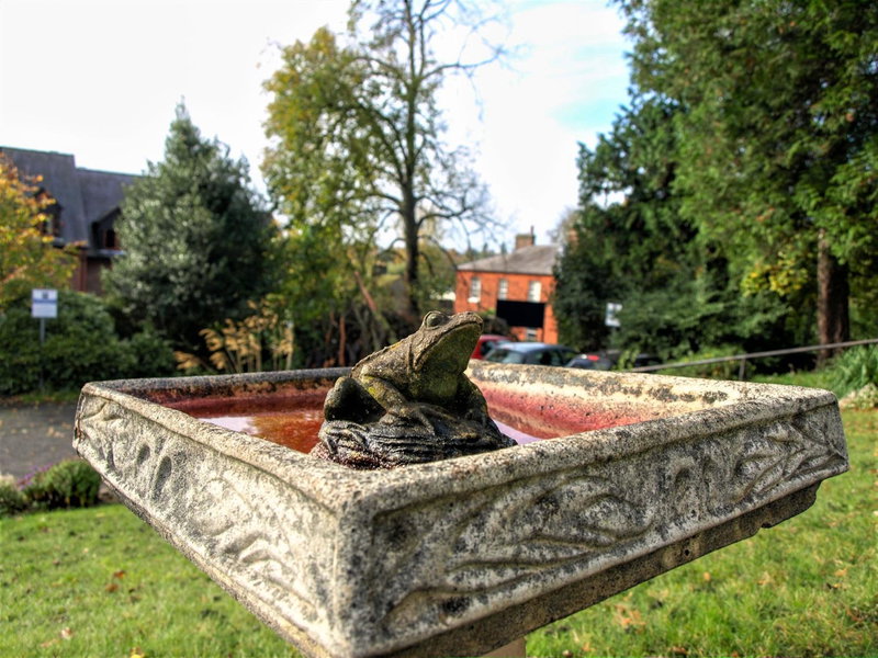Torrington Hall, Saint Albans, United Kingdom