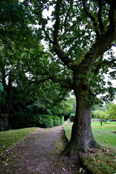Dovecliff Hall Hotel, Burton upon Trent, United Kingdom