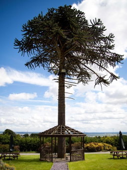 Springfield Hotel & Health Club, Halkyn, United Kingdom