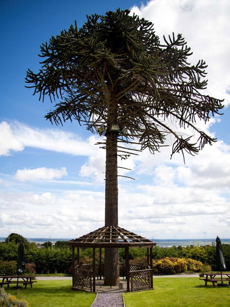 Springfield Hotel & Health Club, Halkyn, United Kingdom