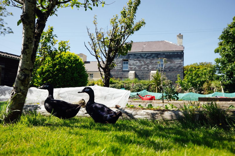 Penrhiw Farm B & B, Goodwick, United Kingdom