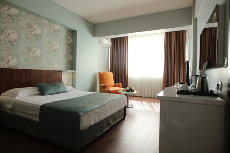 Buyuk Saruhan Hotel, Manisa, Turkey