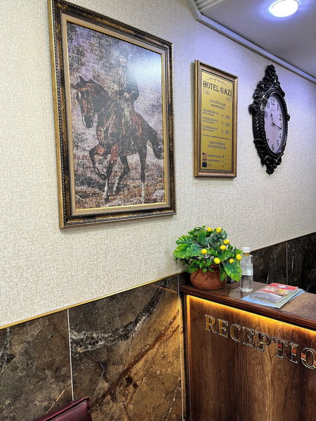 Hotel Gazi̇, Gaziantep, Turkey