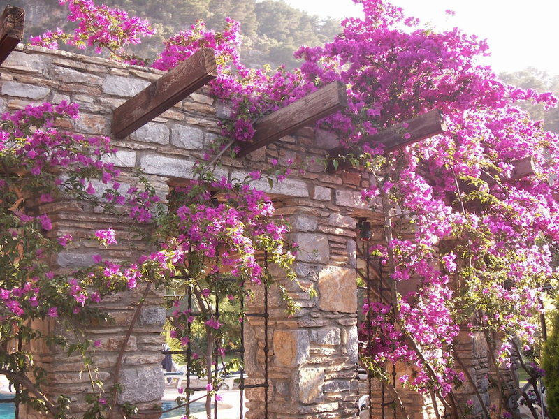 Aydos Club, Ortaca, Turkey
