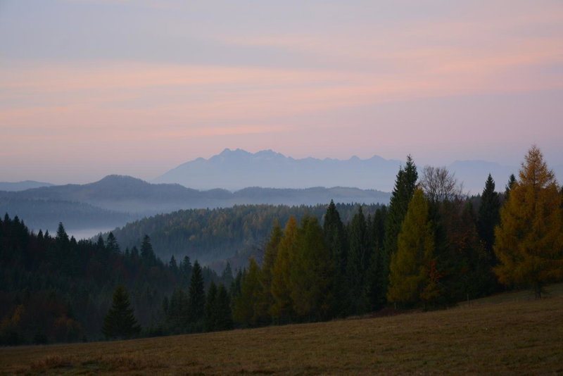 Domek na Obidzy, Piwniczna, Poland