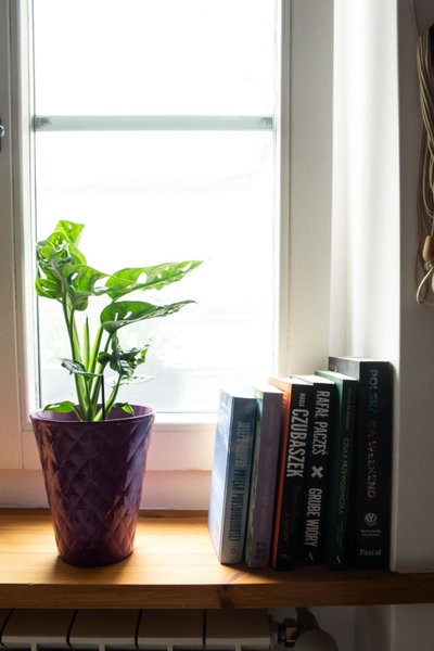 Apartament Ducha N°9, Toruń, Poland