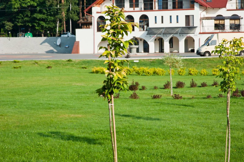 Malutkie Resort, Radomsko, Poland