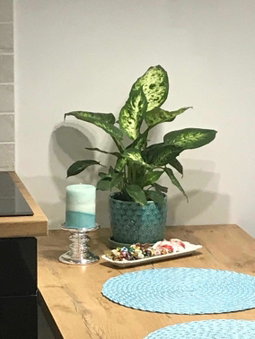 DbD Apartament Gray Turkus Studio, Szczecin, Poland