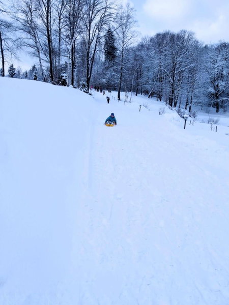 Bieszczadzkie Dworki, Ropienka, Poland