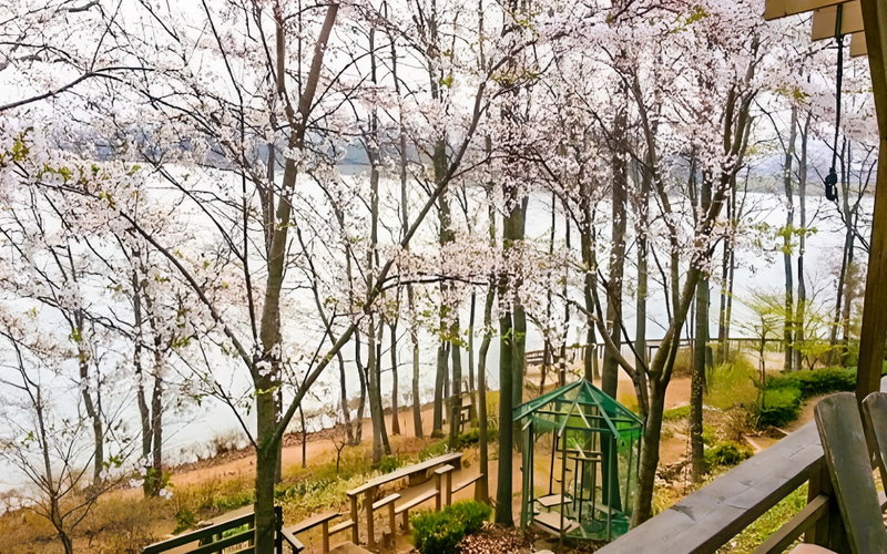 Ganghwado Ye Flow Pension, Incheon, South Korea