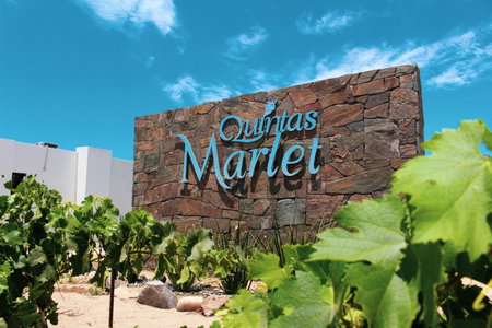 Quintas Marlet en la ruta del vino, Ensenada, Mexico
