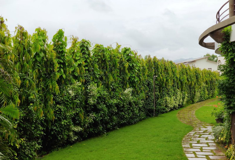 Corbett Panorama Resort, Rāmnagar, India