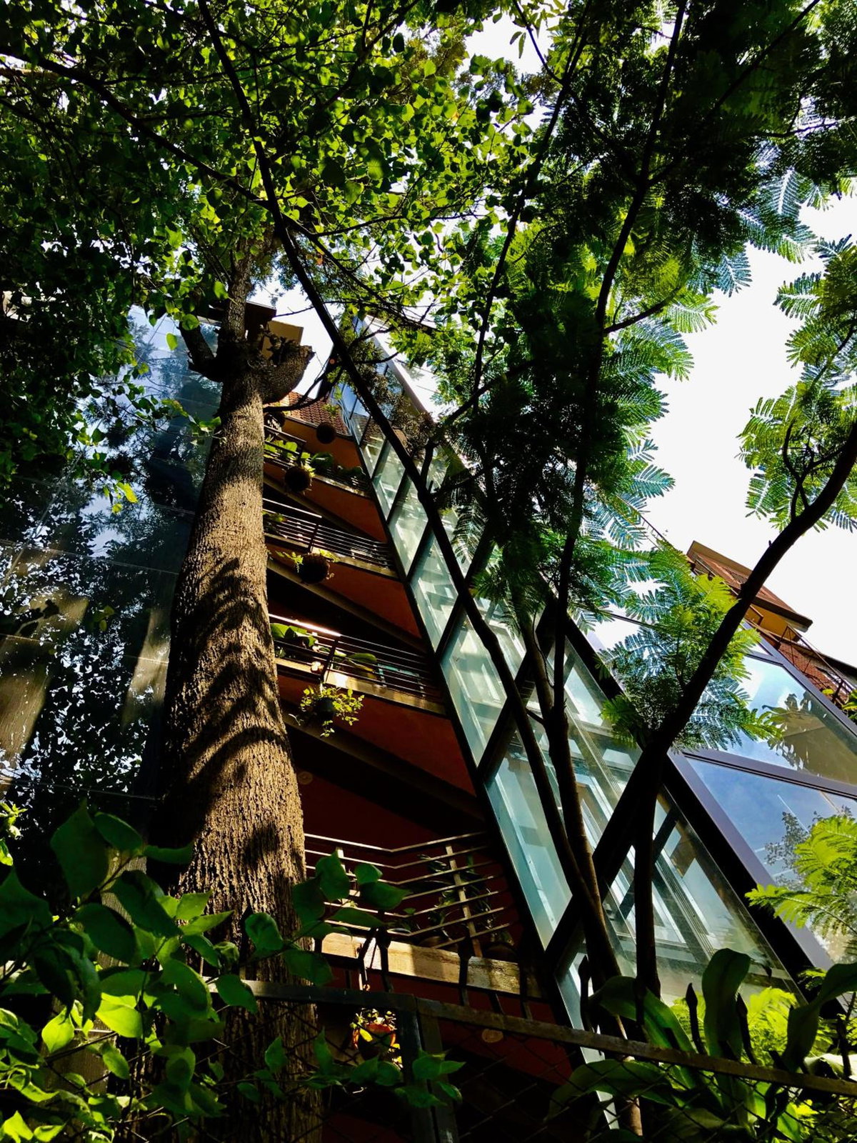 Golden Lotus Bangalore Boutique Suites, India