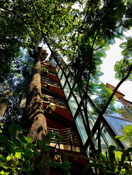 Golden Lotus Bangalore Boutique Suites, Bangalore, India