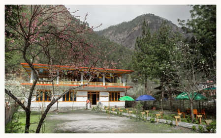 PerkUp Hostel, Kasol, India