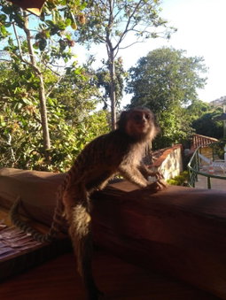 Pousada Bella Vista, Serra do Cipo, Brazil