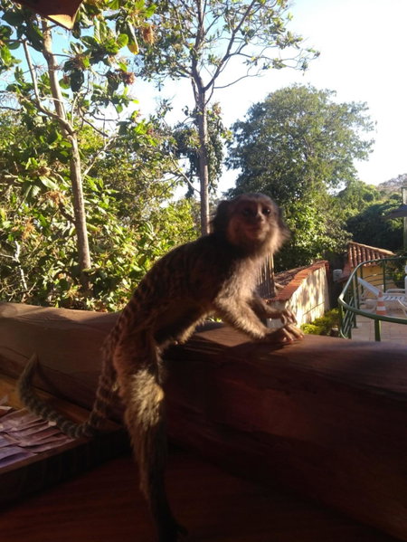 Pousada Bella Vista, Serra do Cipo, Brazil