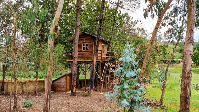 Vale da Silva Villas - Quinta, Albergaria-a-Velha, Portugal