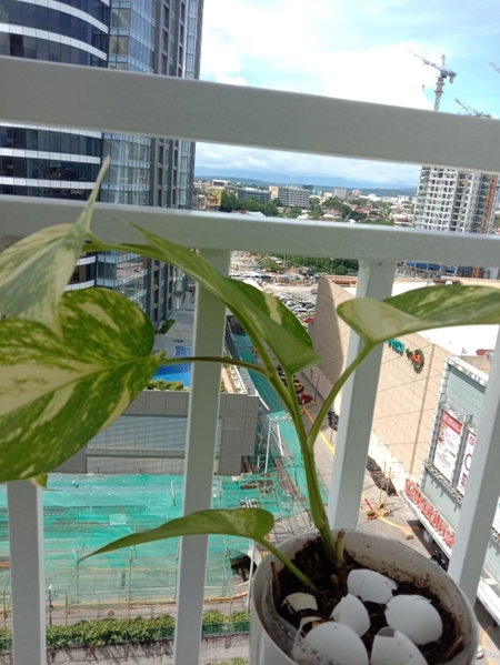 Inspiria Condo Beside Abreeza Mall, Davao City, Philippines