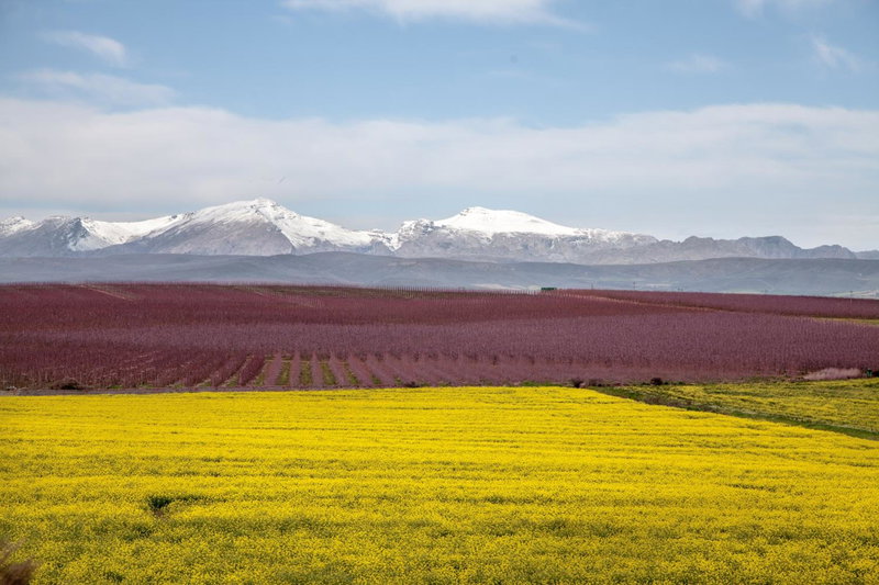 Rooikraal Farm Rondawel, Prince Alfred Hamlet, South Africa