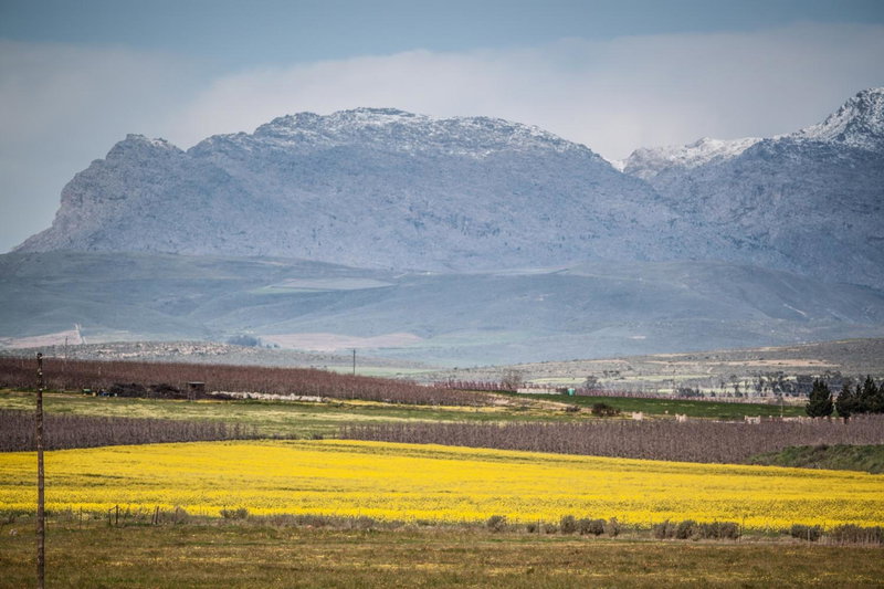 Rooikraal Farm Rondawel, Prince Alfred Hamlet, South Africa