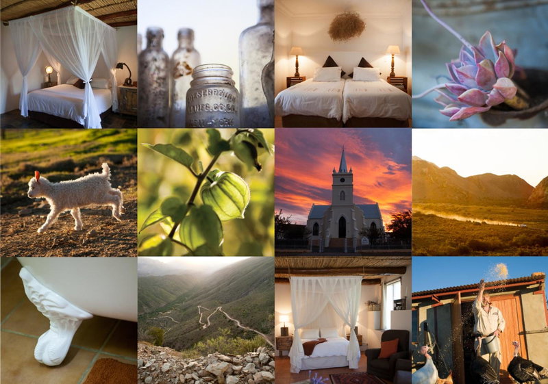 Karoo Khaya, Prince Albert, South Africa