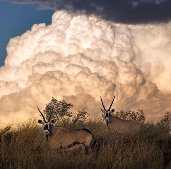 Weltevreden Game Lodge, Bloemfontein, South Africa