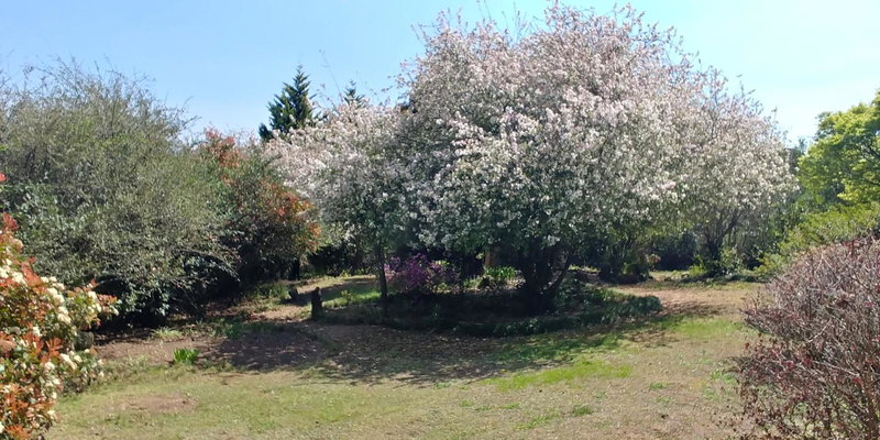 Pin Oak Cottage, Underberg, South Africa