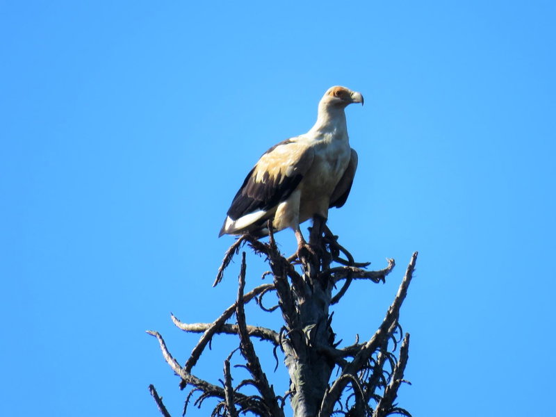 102 Siyayi, Mtunzini, South Africa