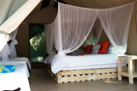 Southern Sands Eco Lodge, Hoedspruit, South Africa
