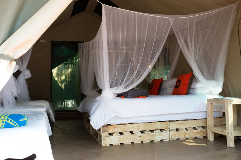 Southern Sands Eco Lodge, Hoedspruit, South Africa