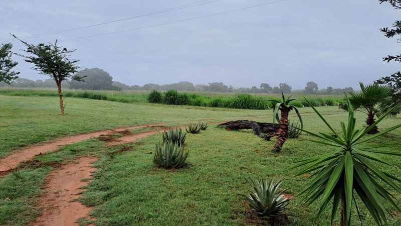 In Da Bush, Modimolle, South Africa