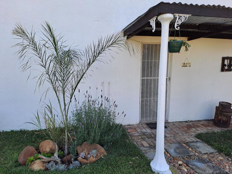 In Da Bush, Modimolle, South Africa