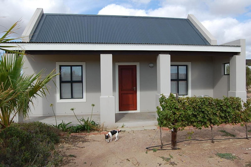 Longacre Olive & Vineyard Estate, Langebaan, South Africa