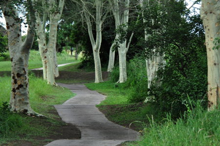 Kruger Park Lodge Unit No. 608B, Hazyview, South Africa