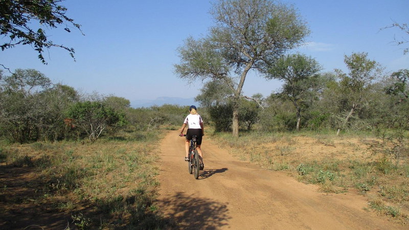 Woodpecker Lodge B&B, Hoedspruit, South Africa