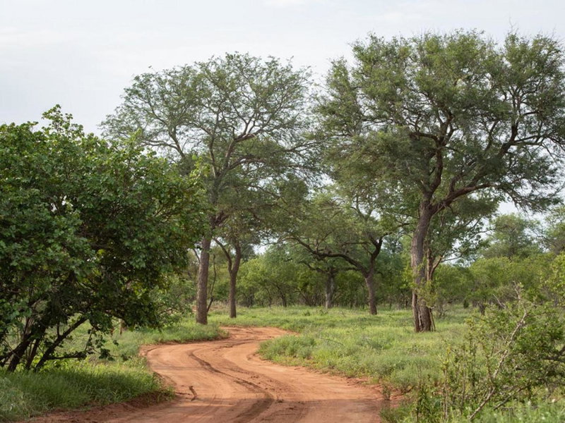 Ujabule Lodge, Hoedspruit, South Africa