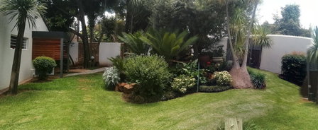 394OnEmus, Pretoria, South Africa