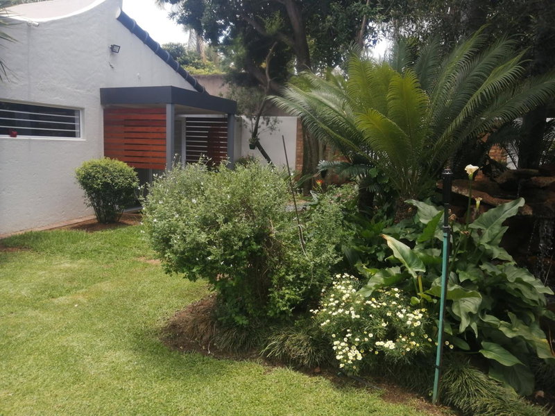 394OnEmus, Pretoria, South Africa