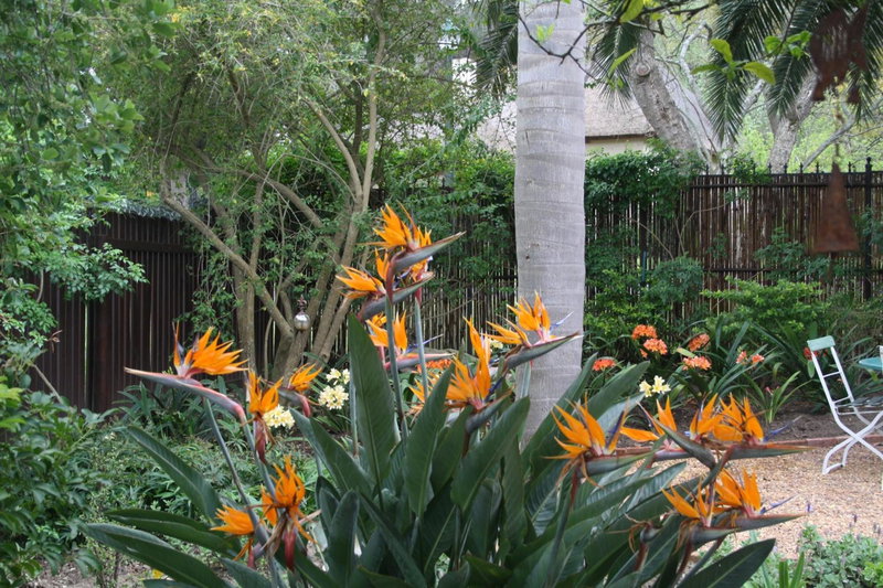 Tortelduif Cottage, Stellenbosch, South Africa