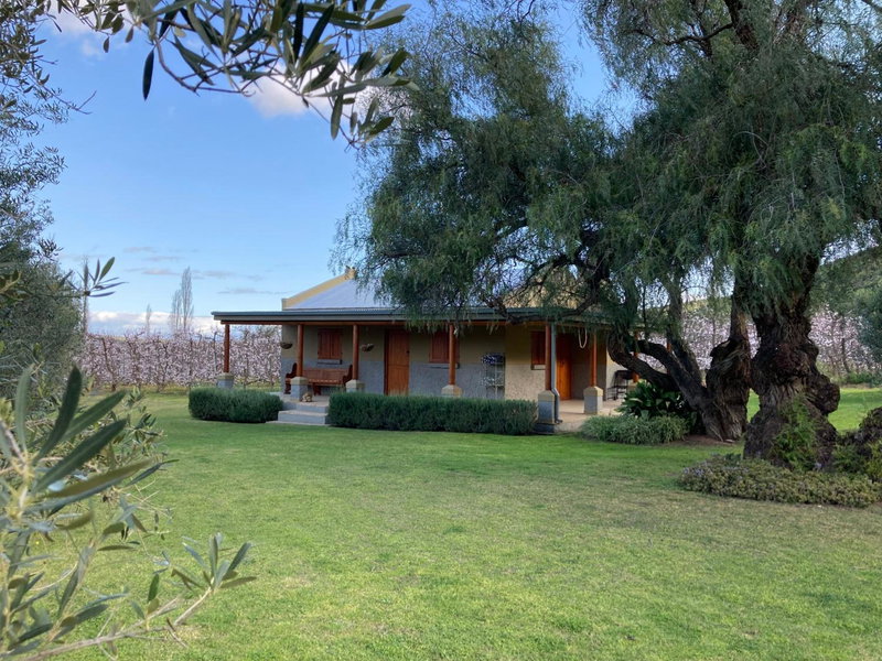 Vogelsang Farm Cottage, Oudtshoorn, South Africa