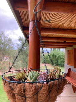 Vogelsang Farm Cottage, Oudtshoorn, South Africa