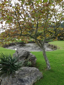 Wilderness Farmhouse, Wilderness, South Africa