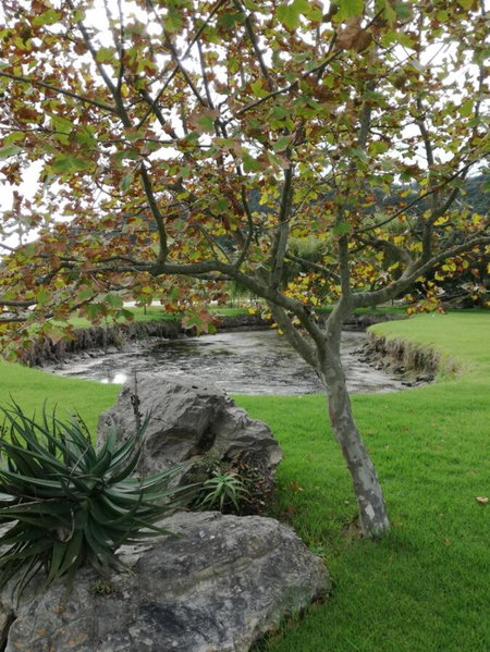 Wilderness Farmhouse, Wilderness, South Africa