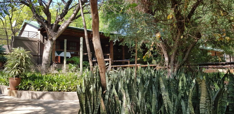 Tuskers Bush Lodge B&B, Hartbeespoort, South Africa