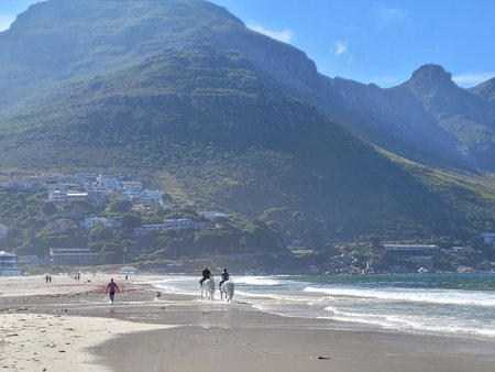 Leehaven, Hout Bay, South Africa