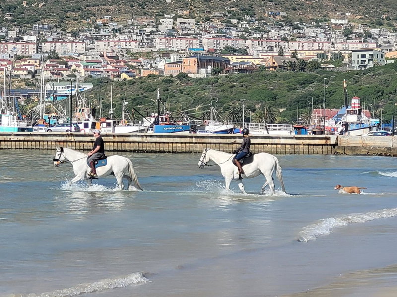 Leehaven, Hout Bay, South Africa